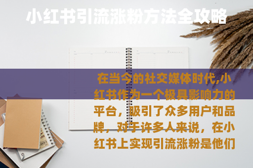 小红书引流涨粉方法全攻略