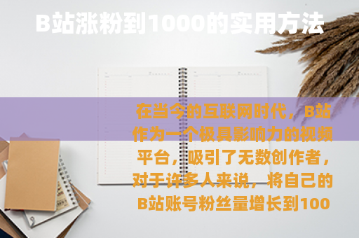B站涨粉到1000的实用方法