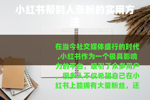 小红书帮别人涨粉的实用方法