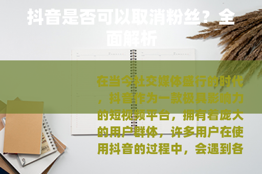 抖音是否可以取消粉丝？全面解析