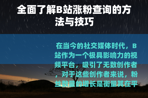 全面了解B站涨粉查询的方法与技巧