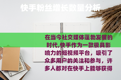 快手粉丝增长数量分析