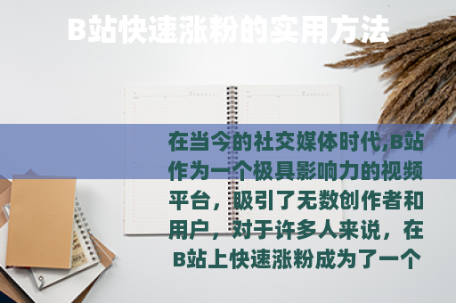 B站快速涨粉的实用方法