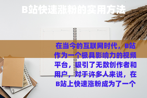 B站快速涨粉的实用方法