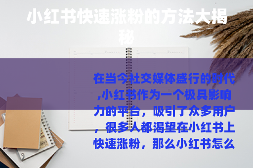 小红书快速涨粉的方法大揭秘
