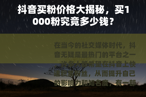抖音买粉价格大揭秘，买1000粉究竟多少钱？