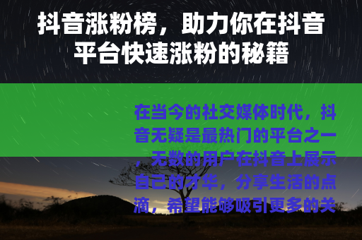 抖音涨粉榜，助力你在抖音平台快速涨粉的秘籍