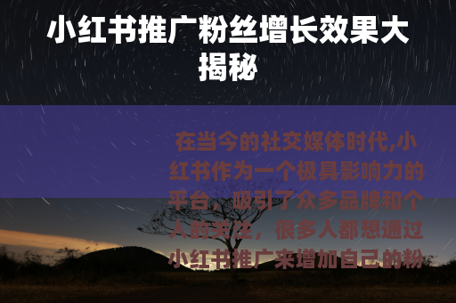 小红书推广粉丝增长效果大揭秘