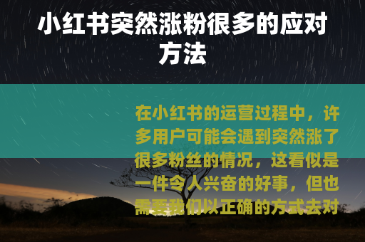 小红书突然涨粉很多的应对方法
