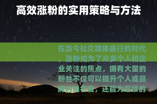 高效涨粉的实用策略与方法
