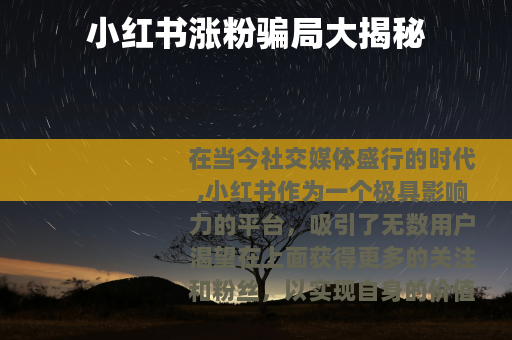 小红书涨粉骗局大揭秘