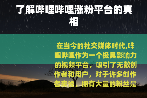 了解哔哩哔哩涨粉平台的真相