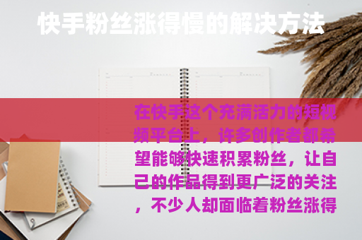 快手粉丝涨得慢的解决方法