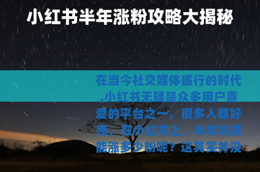 小红书半年涨粉攻略大揭秘